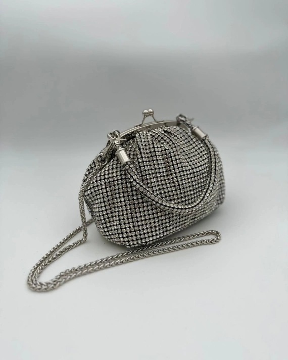 Mini Geanta Tina Silver